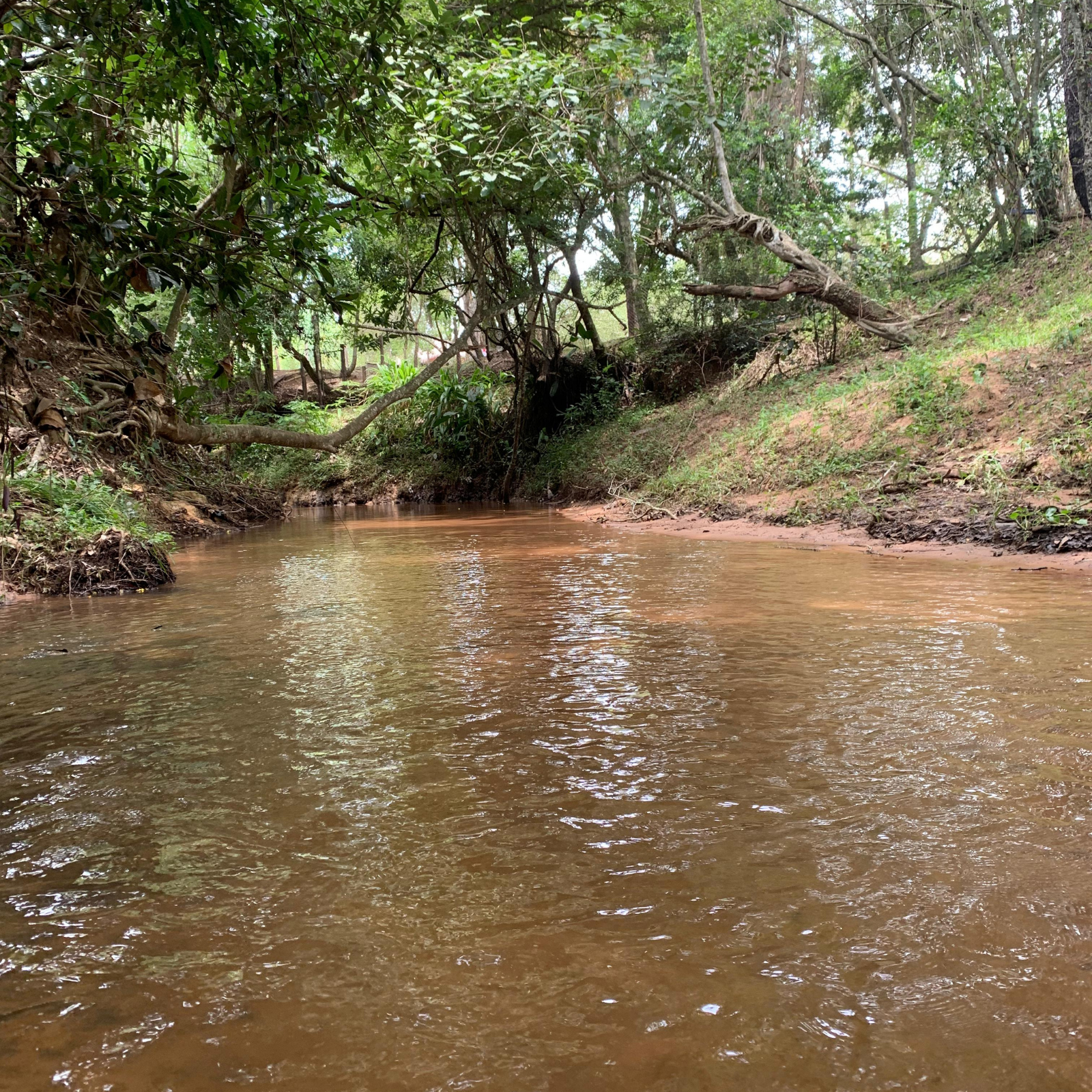 Nueva Colombia Imagenes panorámicas